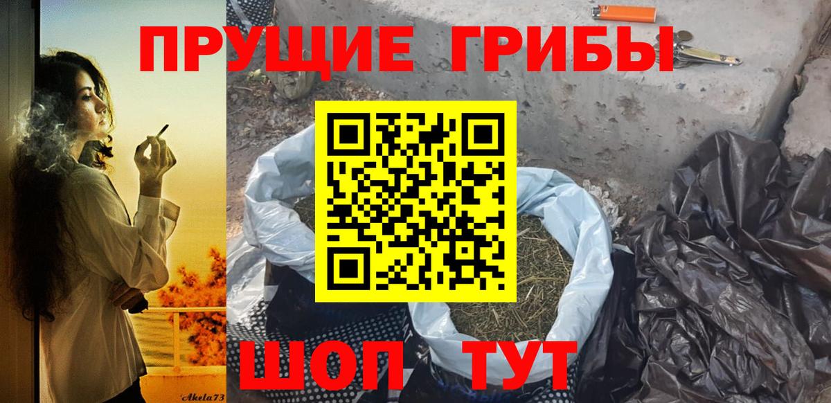 Псилоцибиновые грибы Psilocybe Фрязино