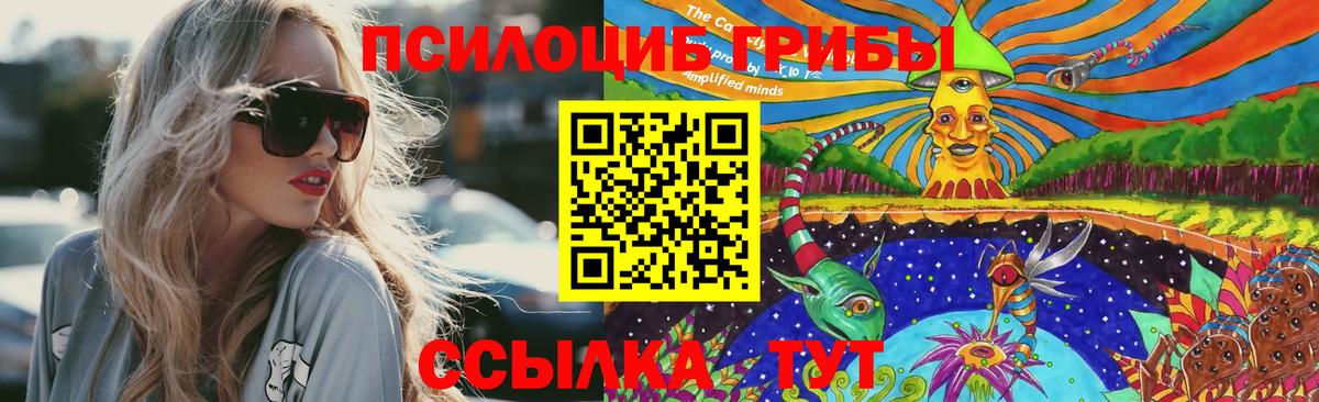 Фрязино  Галлюциногенные грибы Psilocybe  Вход с VPN  Псилоцибиновые грибы мухоморы 
