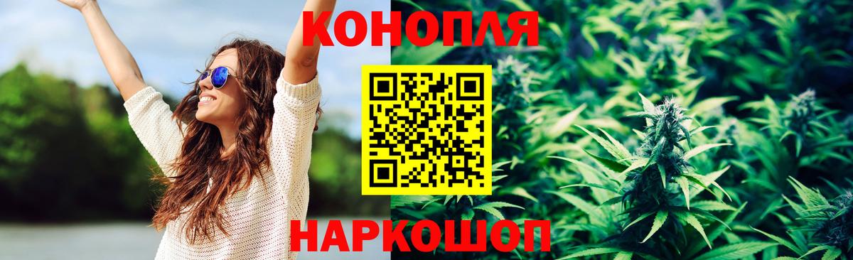 Конопля ГИДРОПОН  Вход с VPN  Фрязино  Бошки марихуана SATIVA & INDICA 